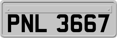 PNL3667