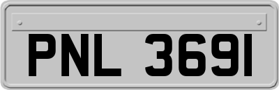PNL3691