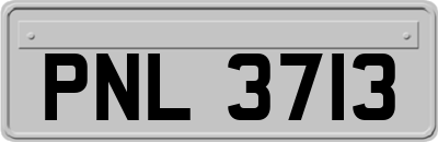 PNL3713