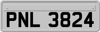 PNL3824