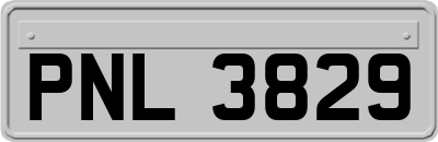 PNL3829