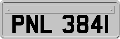 PNL3841