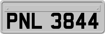 PNL3844