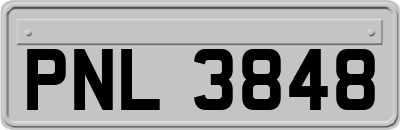 PNL3848