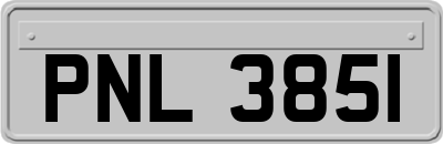 PNL3851