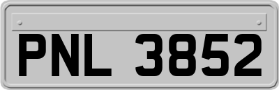 PNL3852
