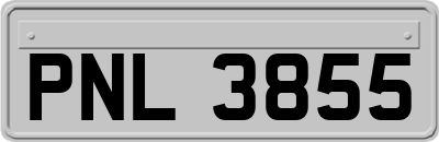 PNL3855