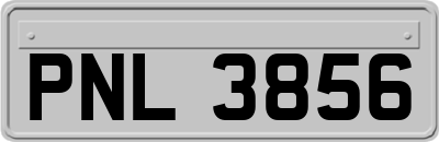 PNL3856