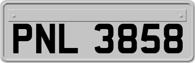 PNL3858