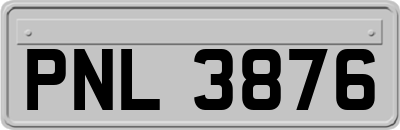 PNL3876