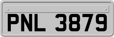 PNL3879