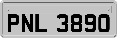 PNL3890