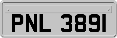 PNL3891