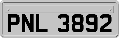 PNL3892