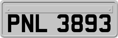 PNL3893
