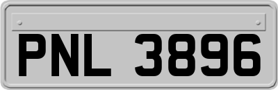 PNL3896