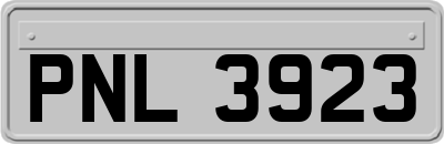 PNL3923