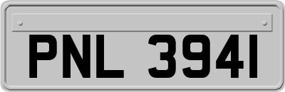 PNL3941