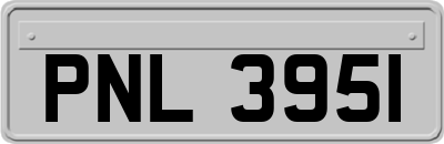 PNL3951