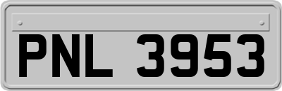 PNL3953