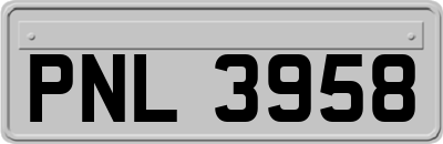PNL3958