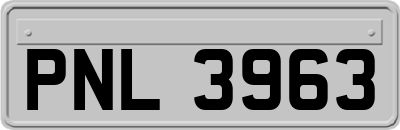 PNL3963
