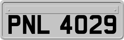 PNL4029