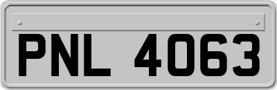 PNL4063