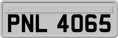 PNL4065