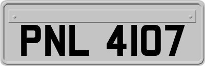 PNL4107