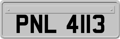 PNL4113