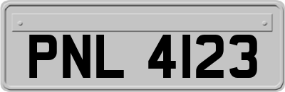 PNL4123