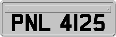 PNL4125