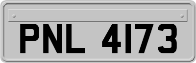 PNL4173