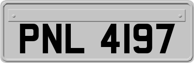 PNL4197