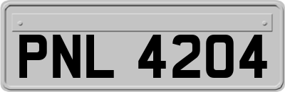 PNL4204