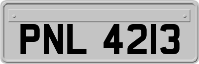 PNL4213