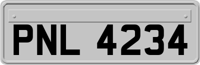 PNL4234