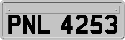 PNL4253
