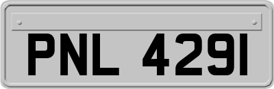 PNL4291