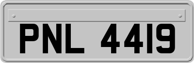 PNL4419