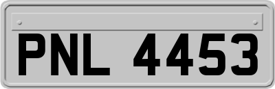 PNL4453
