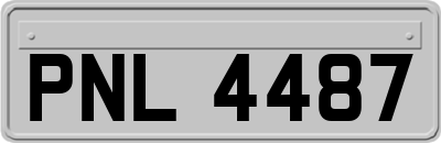 PNL4487