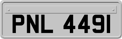 PNL4491