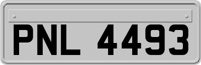PNL4493