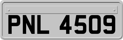 PNL4509