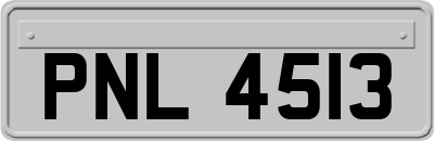 PNL4513
