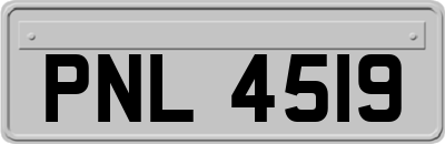 PNL4519