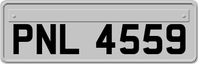 PNL4559