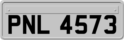 PNL4573